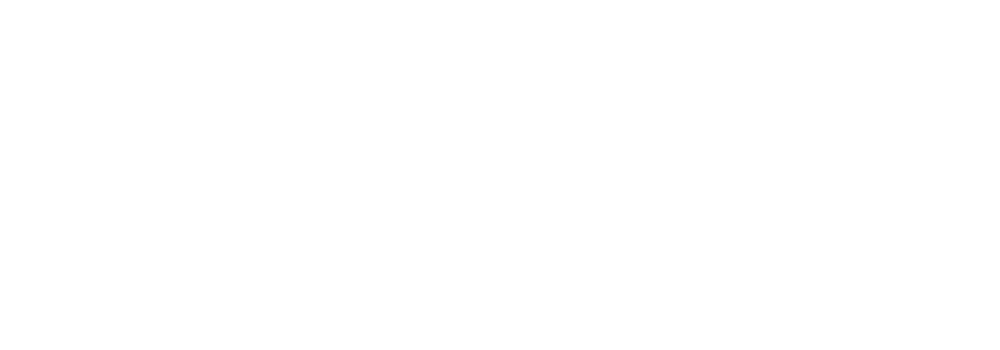 הדסים טרוול